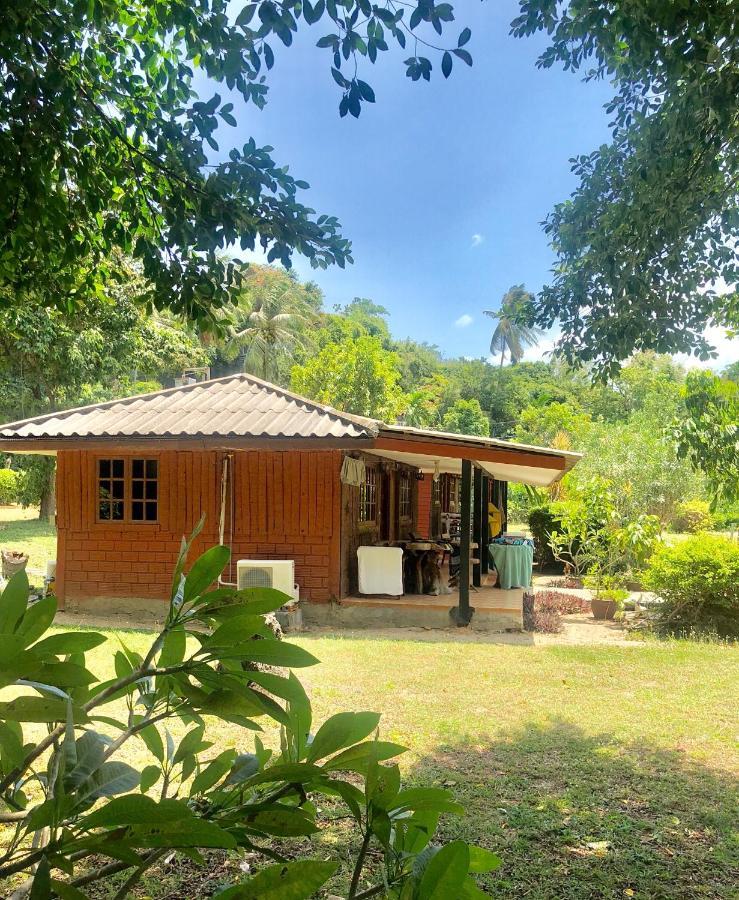 Lamai Chalet Amphoe Koksamui Exterior foto