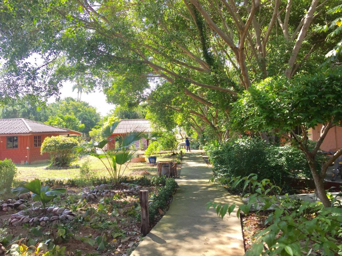 Lamai Chalet Amphoe Koksamui Exterior foto