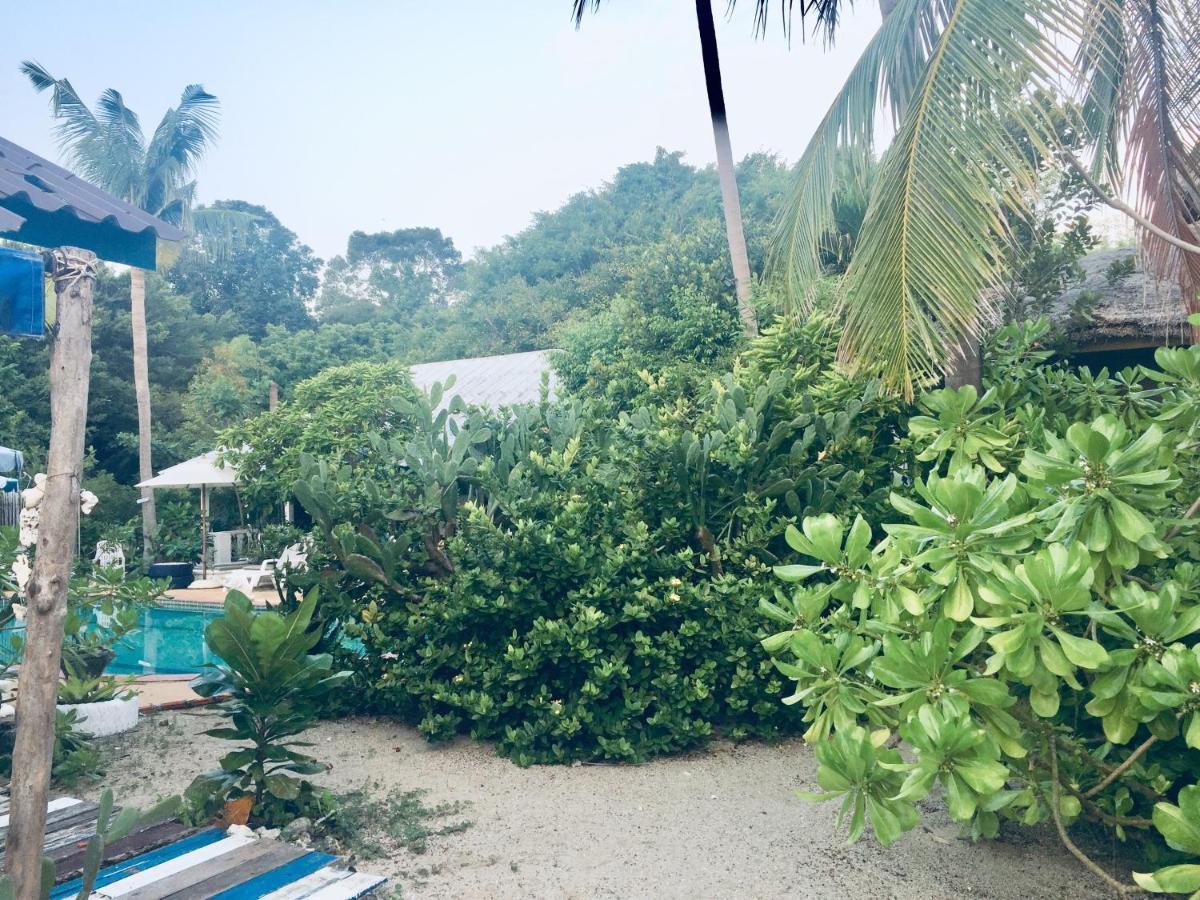 Lamai Chalet Amphoe Koksamui Exterior foto